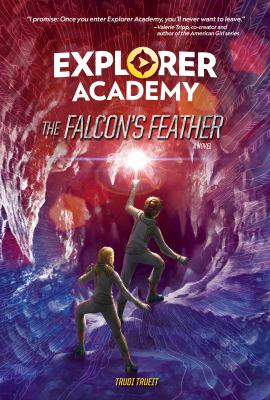The falcon's feather cover image