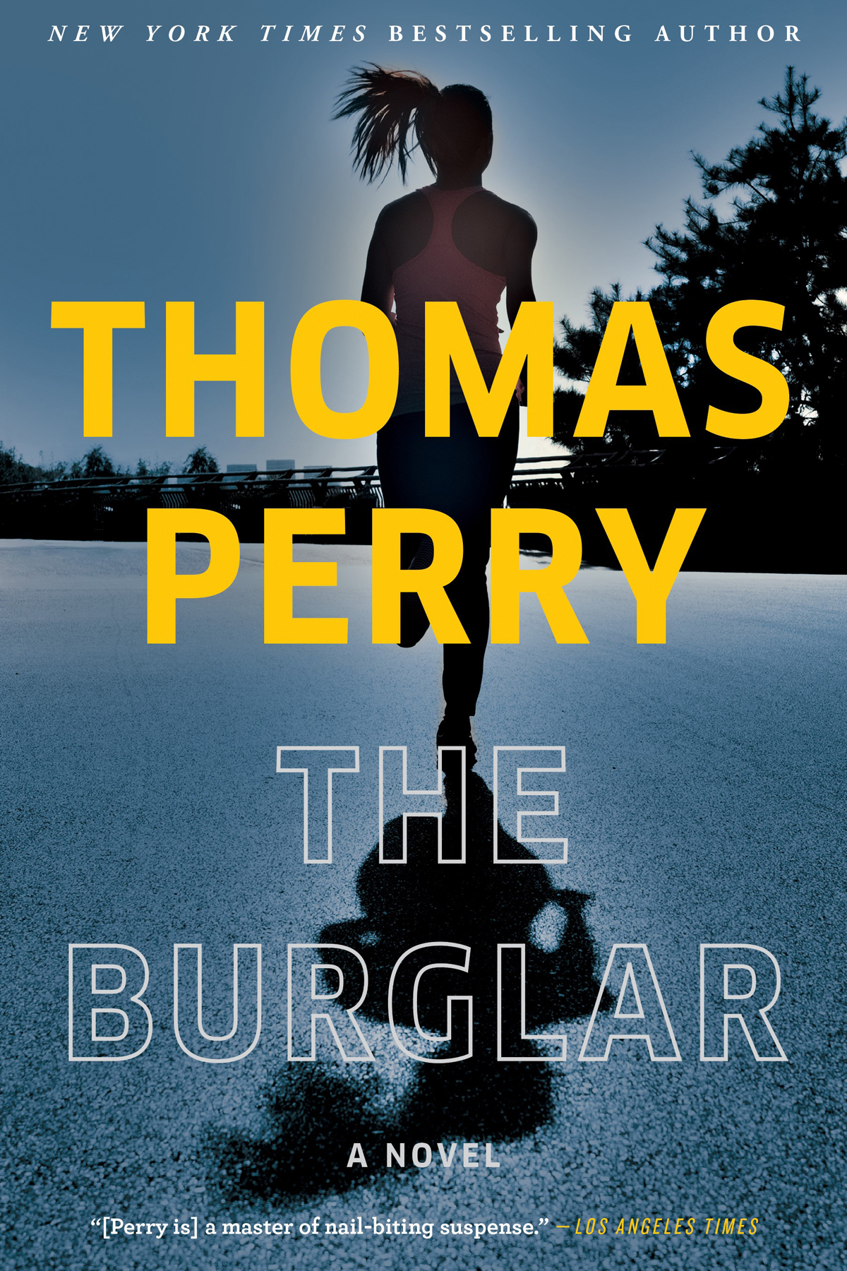 The burglar cover image cdn