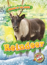 Reindeer cover image cdn