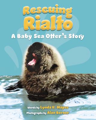 Rescuing Rialto : a baby sea otter's story cover image