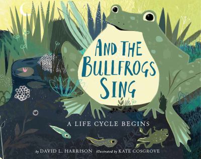 And the bullfrogs sing : a life cycle begins cover image