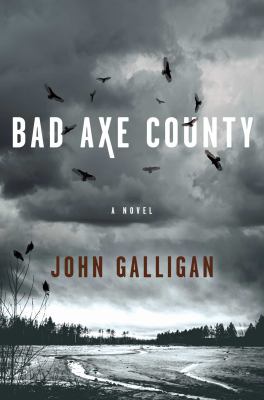 Bad Axe County  cover image cdn