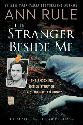 The stranger beside me cover image