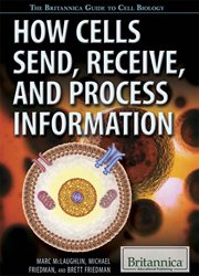 How cells send, receive, and process information cover image cdn