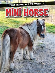 Mini horse cover image cdn