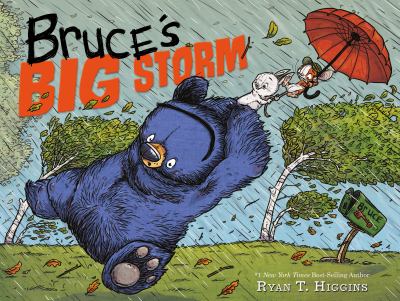 Bruce's big storm  cover image cdn