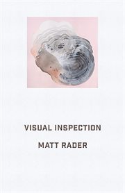 Visual inspection cover image cdn