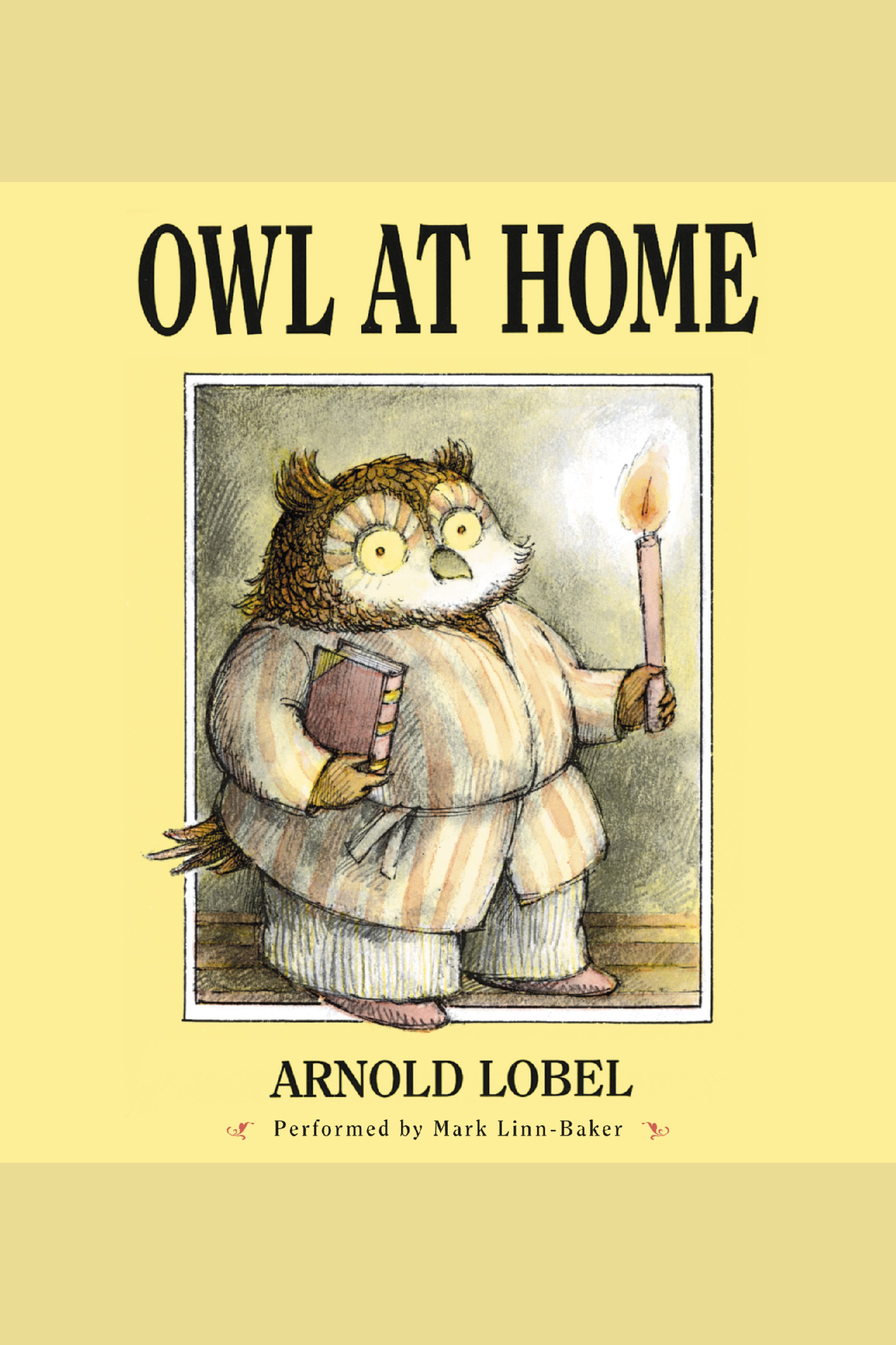 Owl at home cover image cdn
