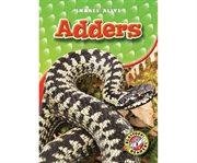 Adders cover image cdn