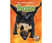 Bats cover image cdn