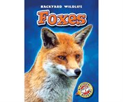 Foxes cover image cdn
