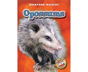 Opossums cover image cdn