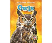 Owls cover image cdn