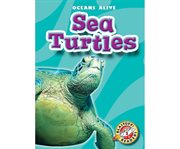Sea turtles cover image cdn