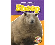 Sheep cover image cdn
