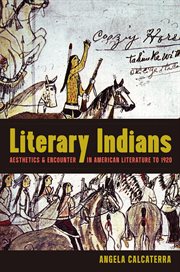 Literary Indians : aesthetics and encounter in American literature to 1920 cover image cdn