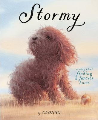 Stormy : a story about finding a forever home cover image