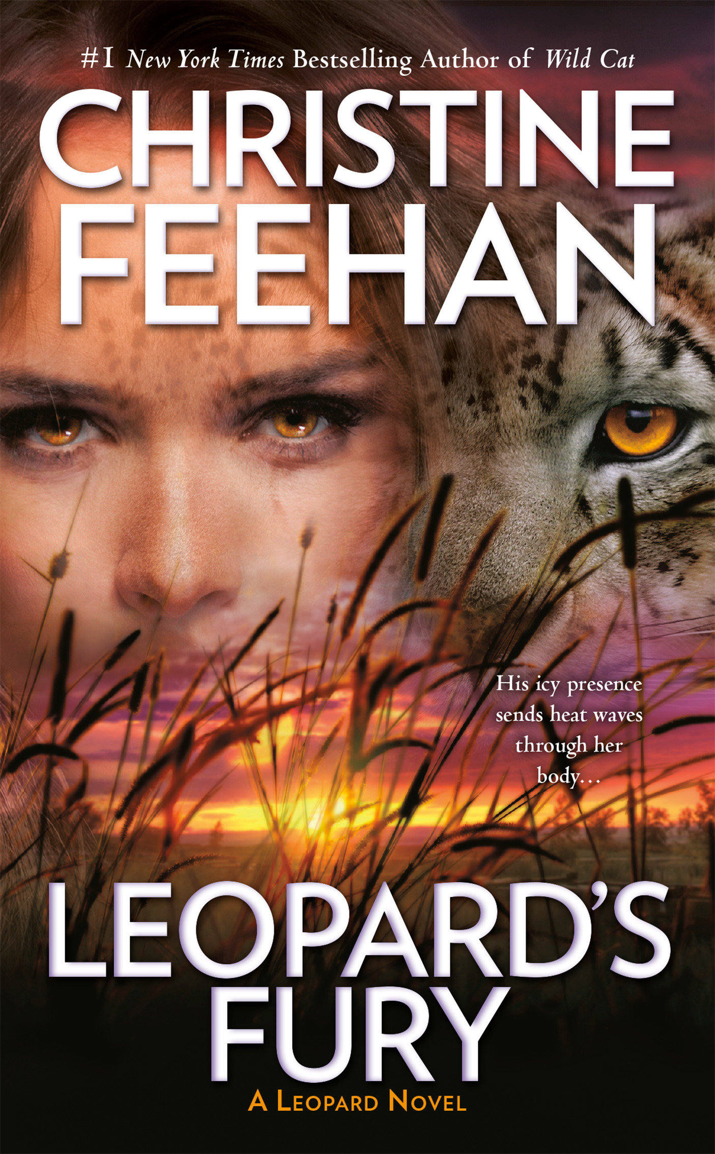 Leopard's fury cover image cdn