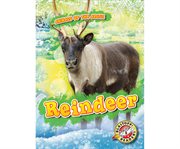 Reindeer cover image cdn