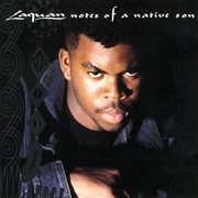 Notes of a native son cover image cdn