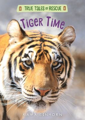 Tiger time cover image