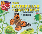 From caterpillar to butterfly cover image cdn