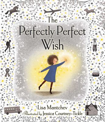 The perfectly perfect wish cover image