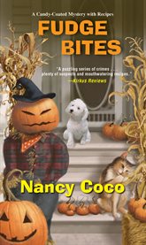 Fudge bites cover image cdn
