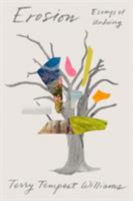Erosion : essays of undoing  cover image cdn