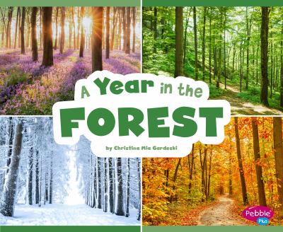 A year in the forest cover image