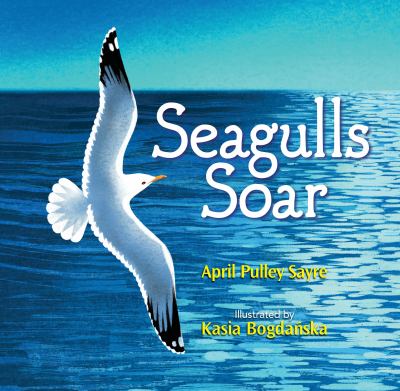 Seagulls soar cover image