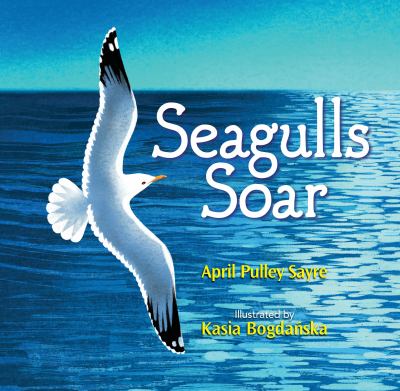 Seagulls soar  cover image cdn