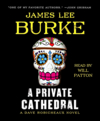 A private cathedral cover image cdn