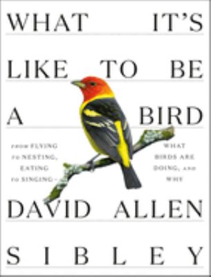What it's like to be a bird : from flying to nesting, eating to singing -- what birds are doing, and why cover image