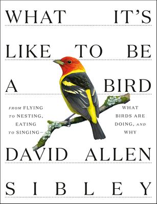 What it's like to be a bird : from flying to nesting, eating to singing -- what birds are doing, and why  cover image cdn