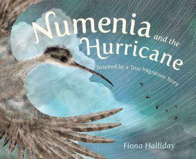 Numenia and the hurricane : inspired by a true migration story cover image
