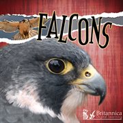 Falcons cover image cdn