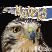 Hawks cover image cdn