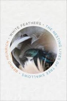 White feathers the nesting lives of tree swallows cover image