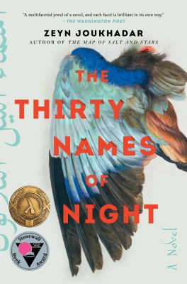 The thirty names of night cover image