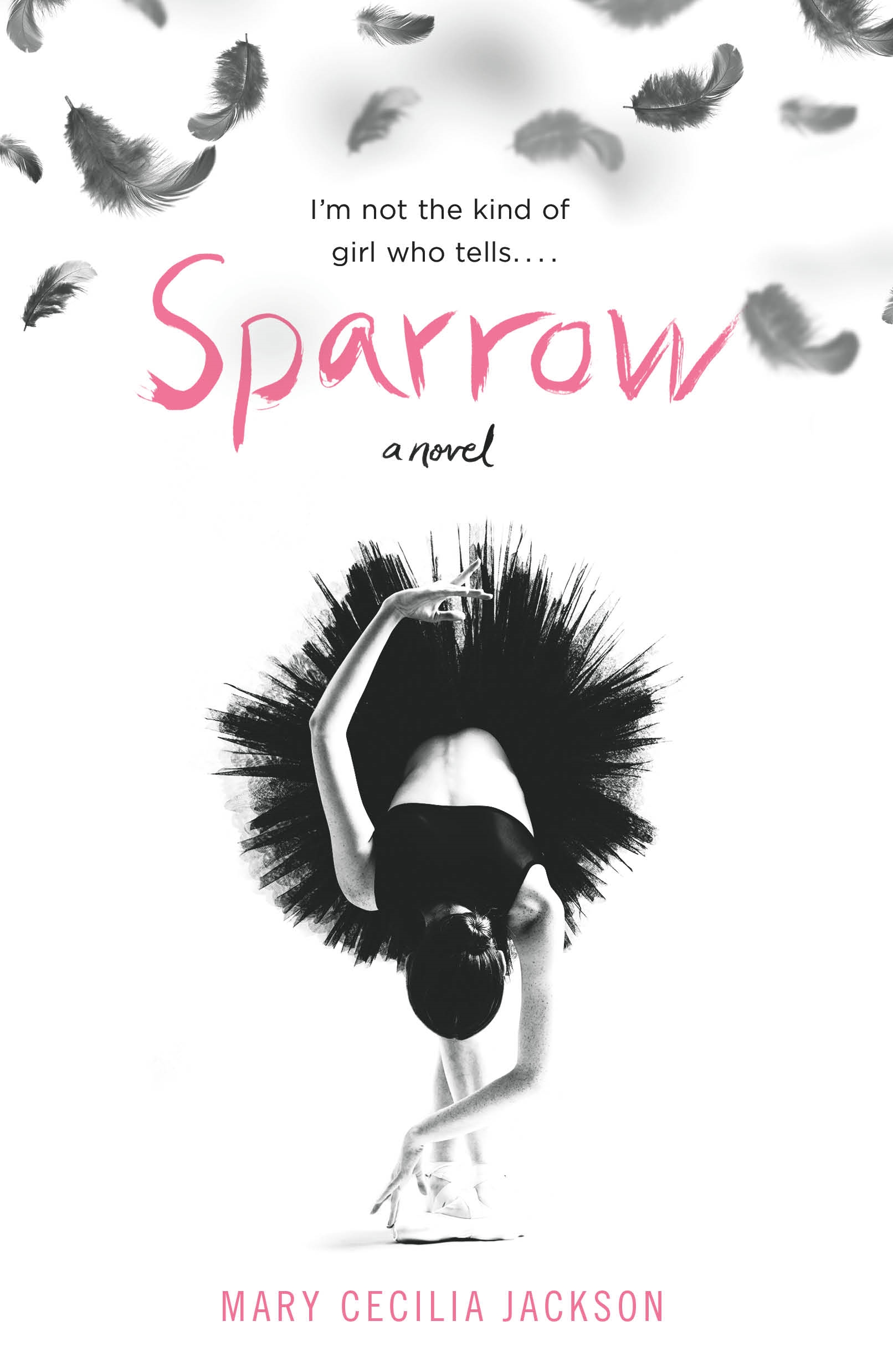 Sparrow cover image cdn