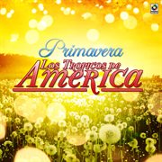 Primavera cover image cdn