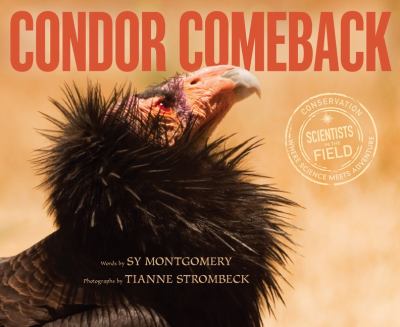 Condor comeback cover image