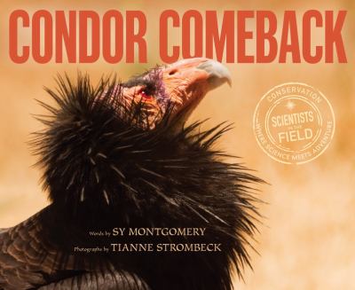 Condor comeback  cover image cdn