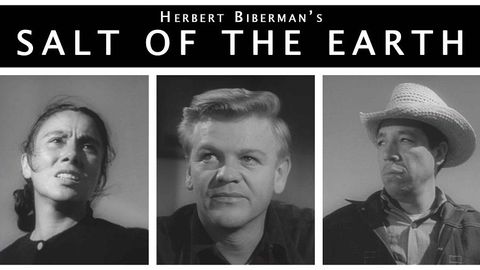 Salt of the Earth cover image cdn