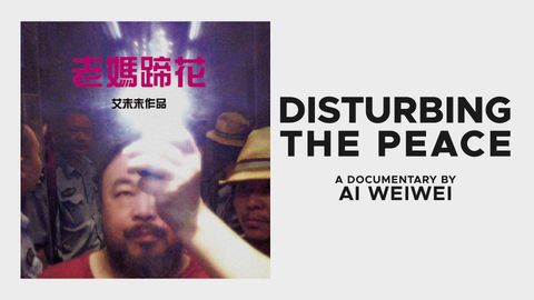 Disturbing the Peace cover image cdn