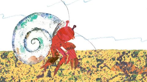 A House for Hermit Crab cover image cdn