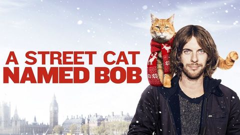 A Street Cat Named Bob cover image cdn