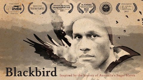 Blackbird cover image cdn