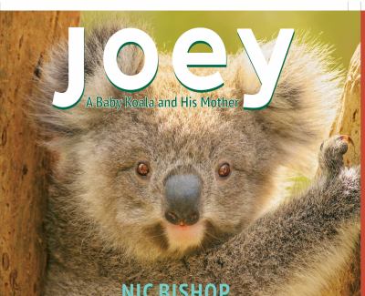 Joey : a baby koala and his mother cover image